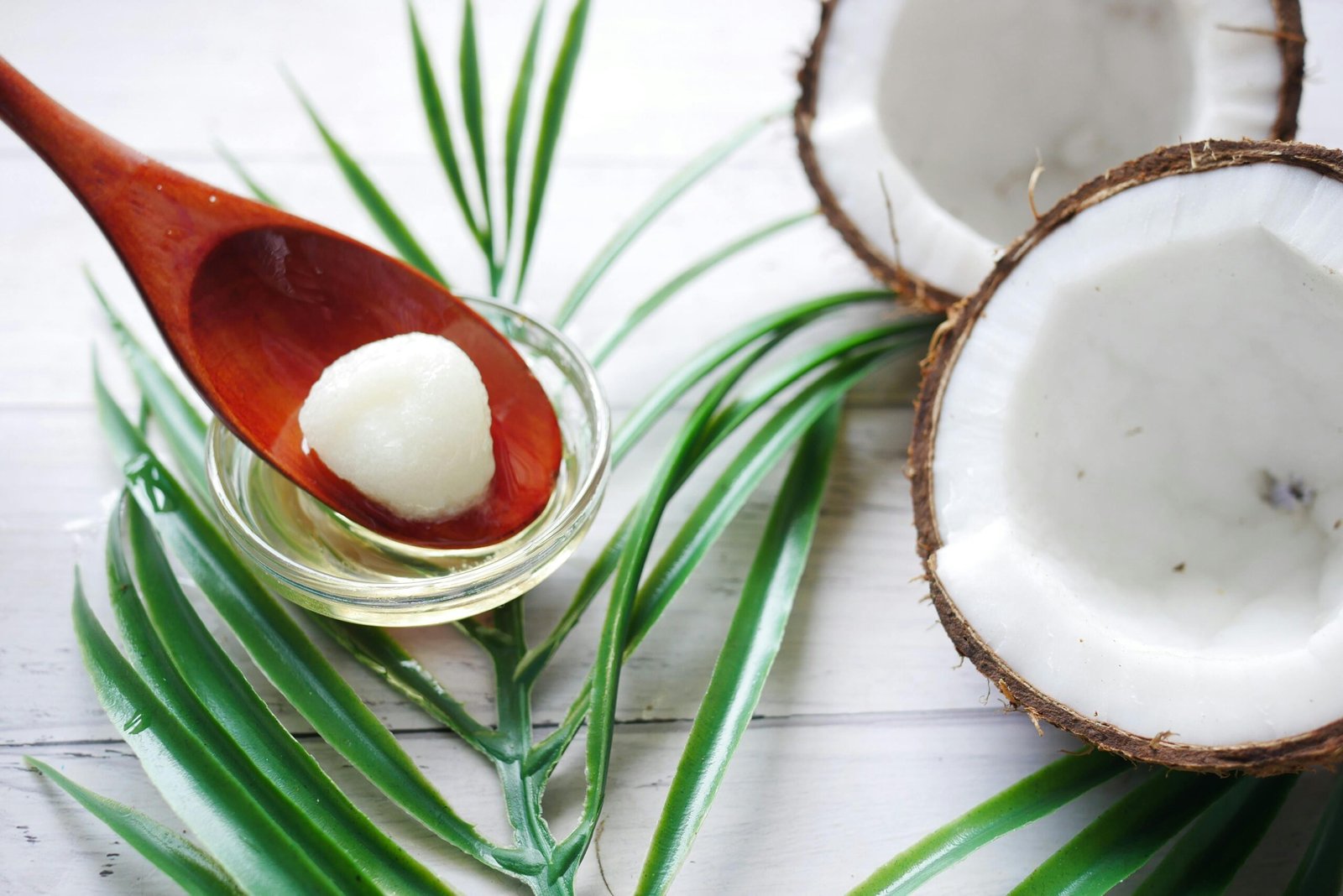 Coconut Oil for Dogs